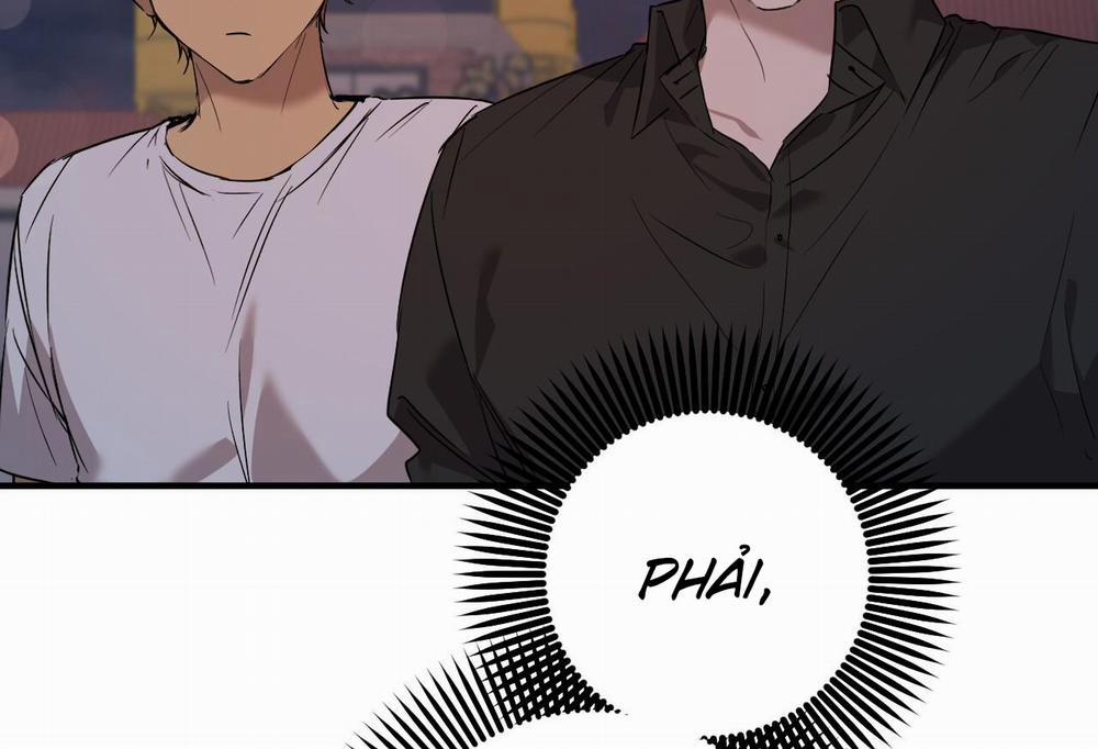 Những Chú Thỏ Của Hapypy 57 trang 243