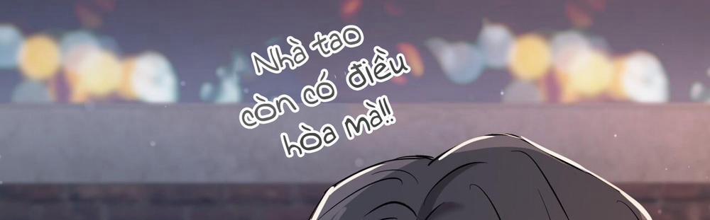 Những Chú Thỏ Của Hapypy 57 trang 251