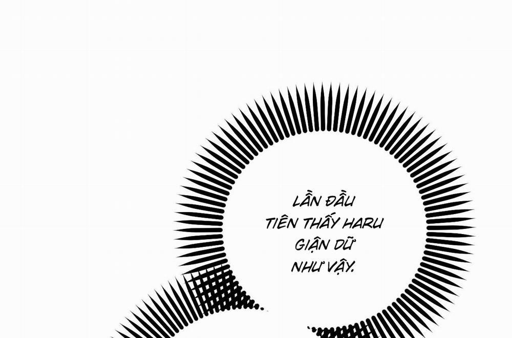 Những Chú Thỏ Của Hapypy 58 trang 159