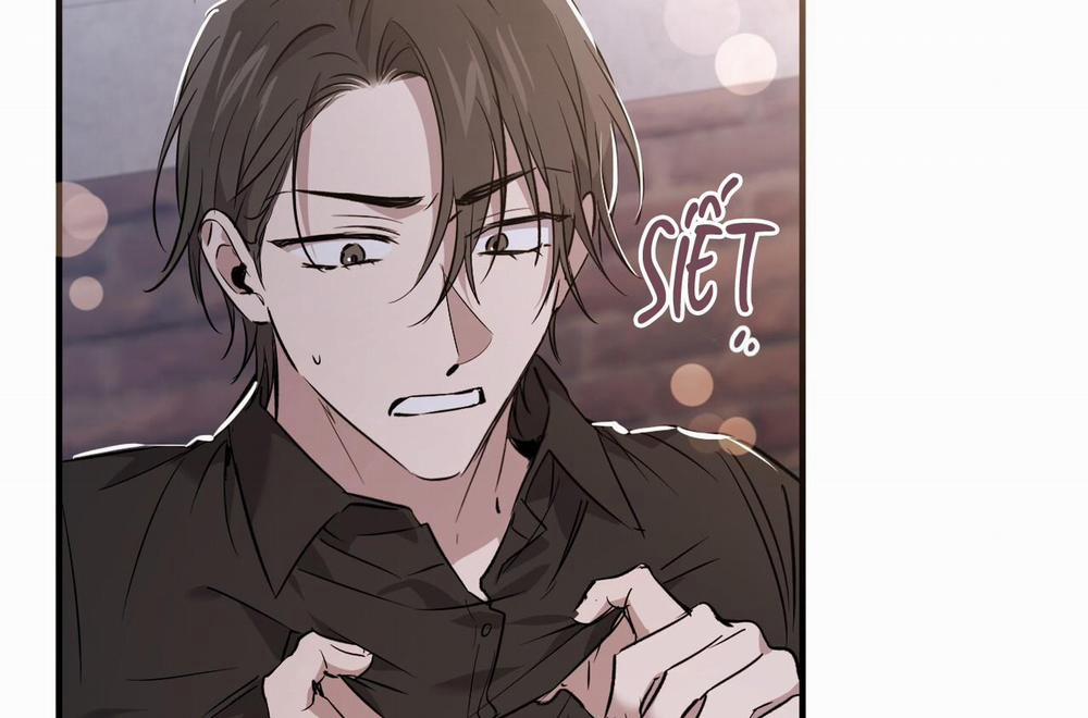 Những Chú Thỏ Của Hapypy 58 trang 162