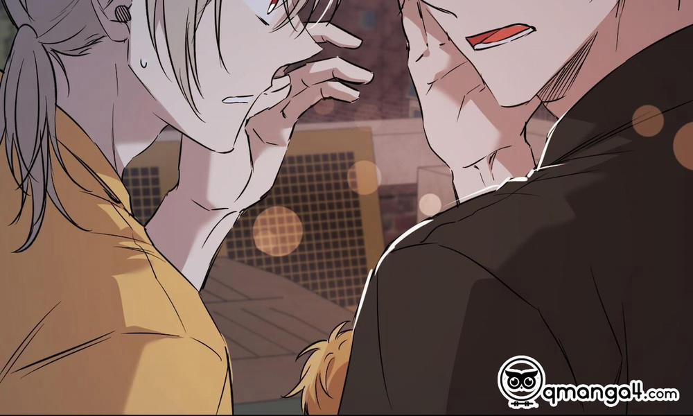 Những Chú Thỏ Của Hapypy 58 trang 211