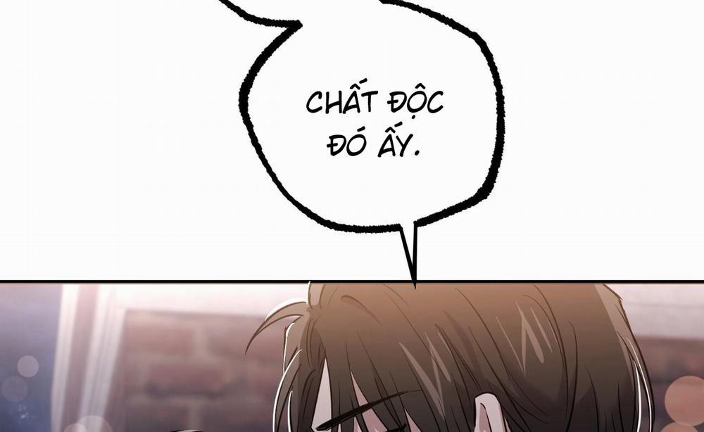 Những Chú Thỏ Của Hapypy 58 trang 232