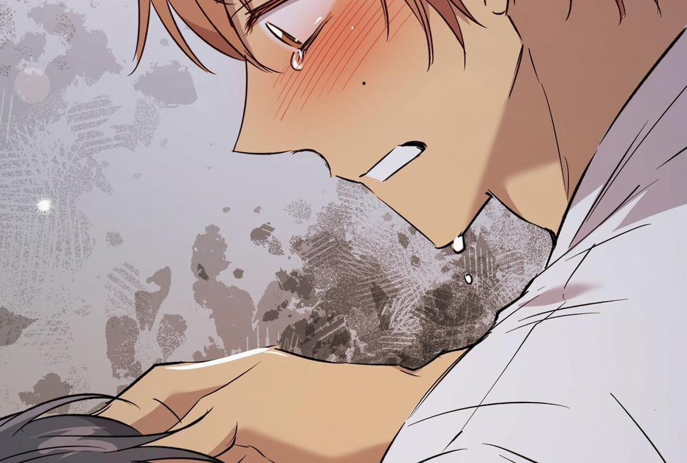 Những Chú Thỏ Của Hapypy 58 trang 244