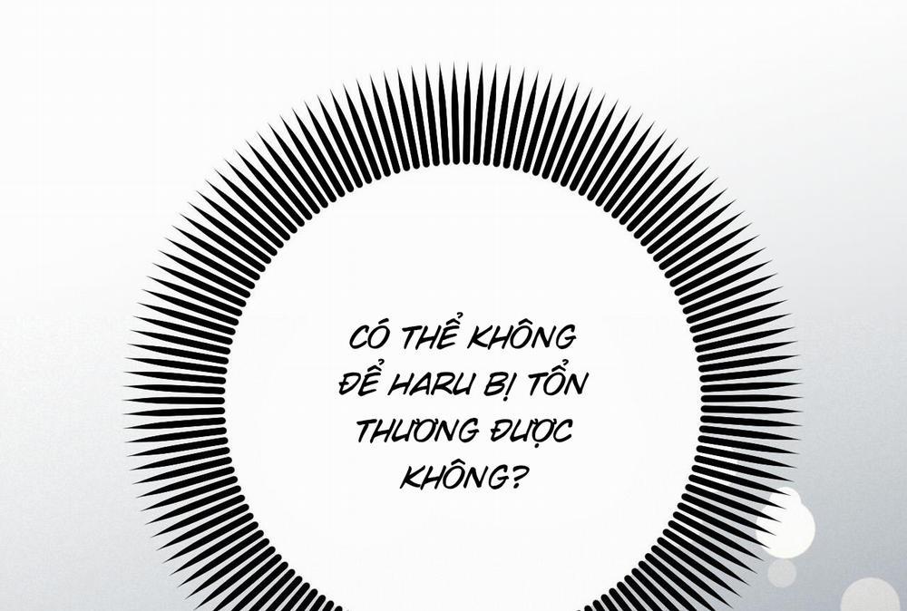 Những Chú Thỏ Của Hapypy 58 trang 264