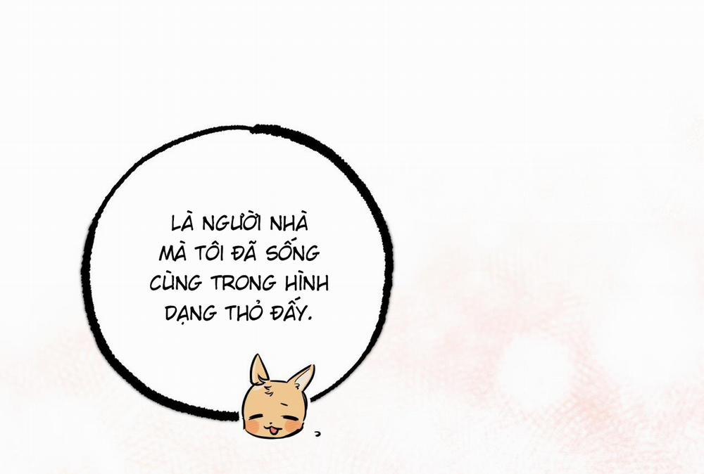 Những Chú Thỏ Của Hapypy 58 trang 38