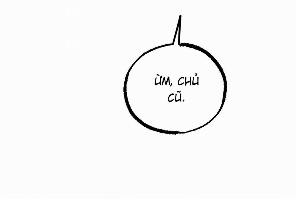 Những Chú Thỏ Của Hapypy 58 trang 41