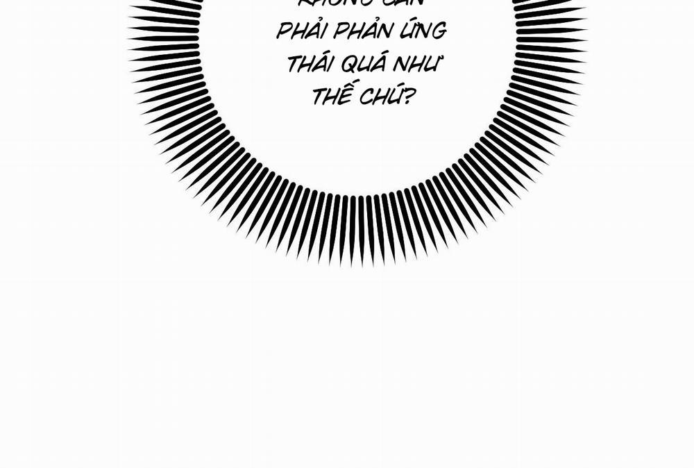 Những Chú Thỏ Của Hapypy 58 trang 48