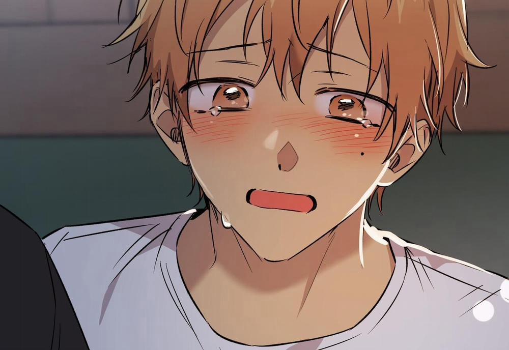 Những Chú Thỏ Của Hapypy 59 trang 132