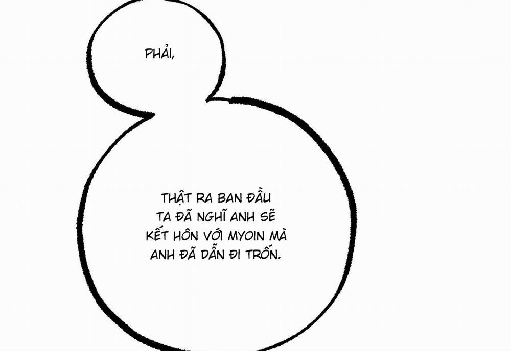 Những Chú Thỏ Của Hapypy 59 trang 187