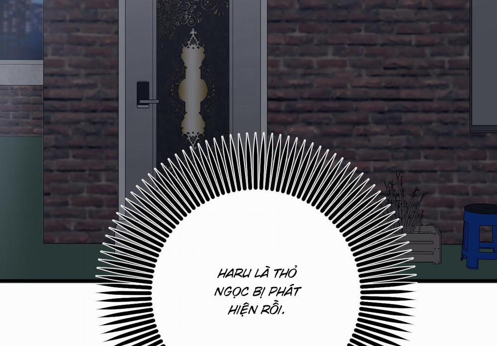 Những Chú Thỏ Của Hapypy 59 trang 209