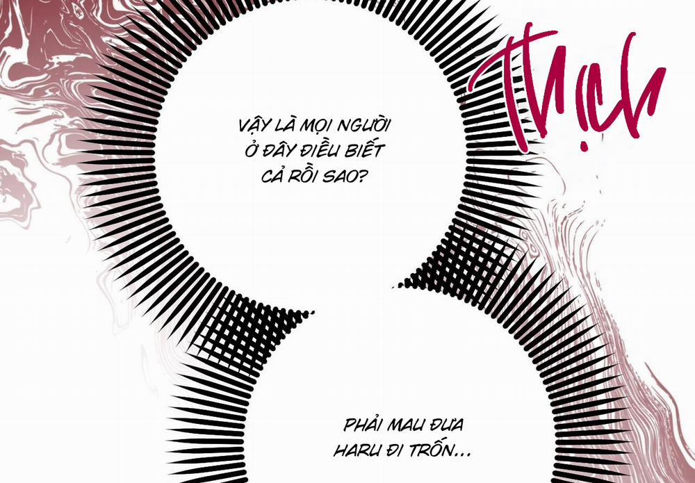 Những Chú Thỏ Của Hapypy 59 trang 212