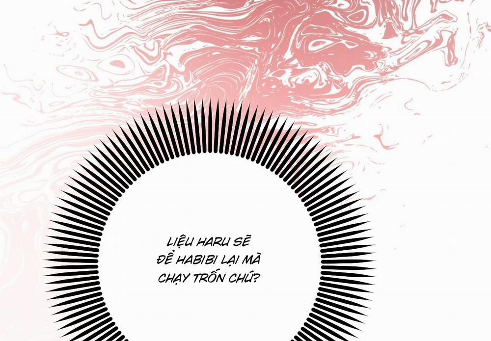 Những Chú Thỏ Của Hapypy 59 trang 217