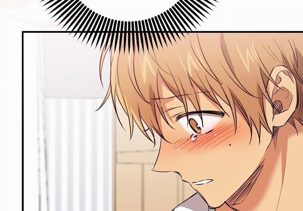 Những Chú Thỏ Của Hapypy 59 trang 218