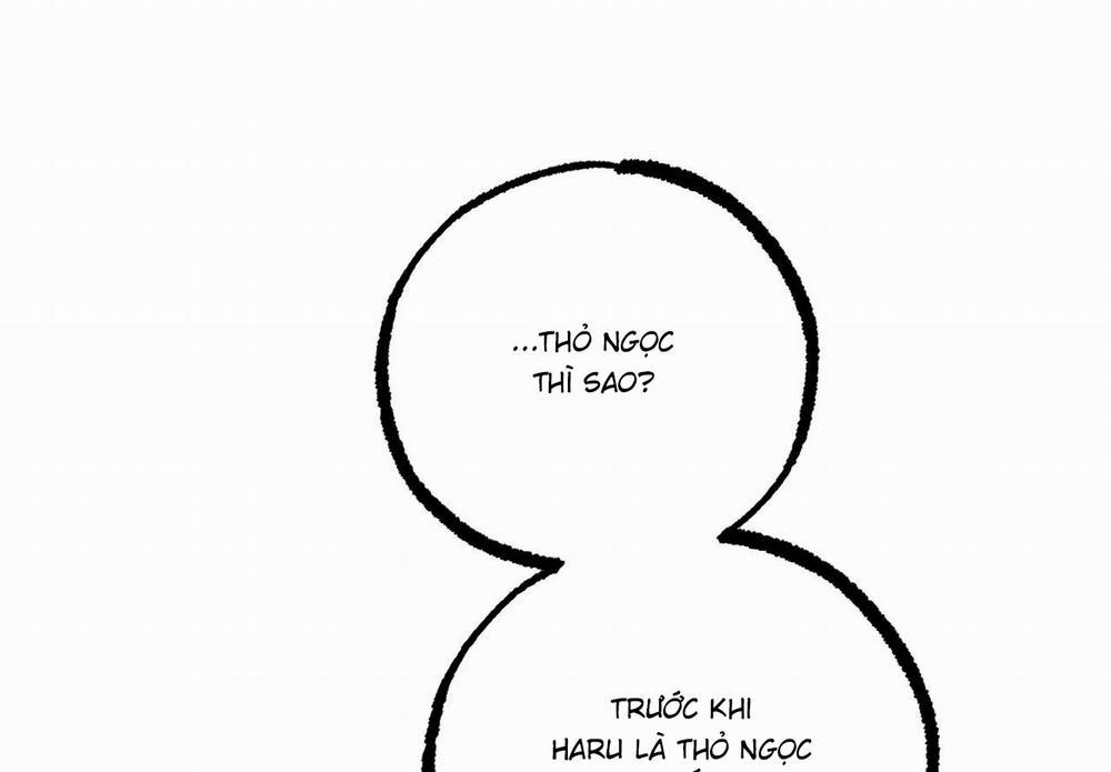 Những Chú Thỏ Của Hapypy 59 trang 226