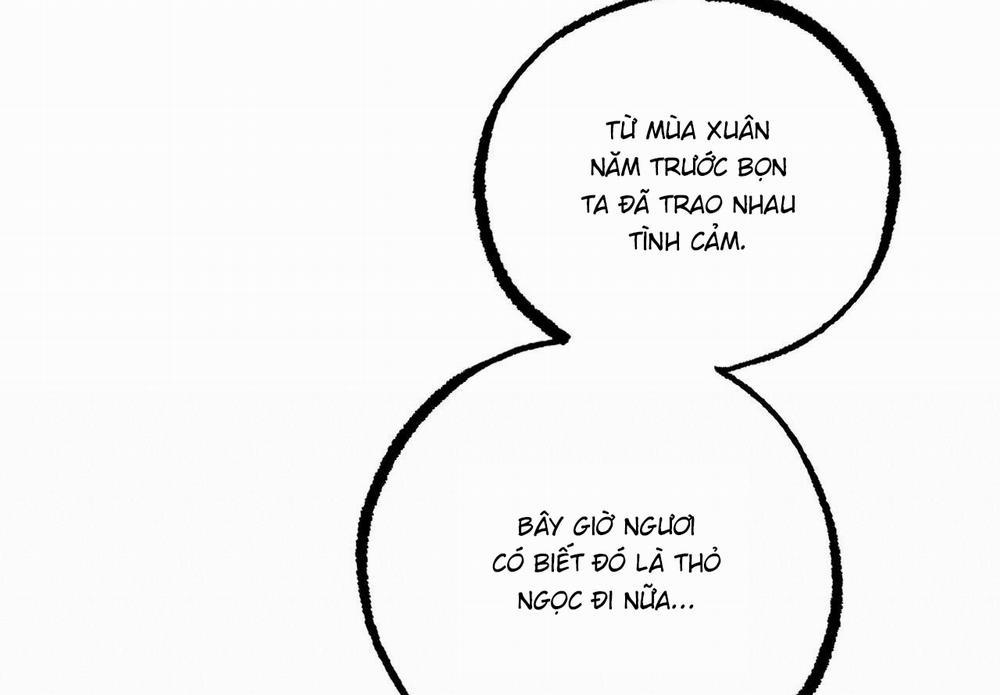 Những Chú Thỏ Của Hapypy 59 trang 230