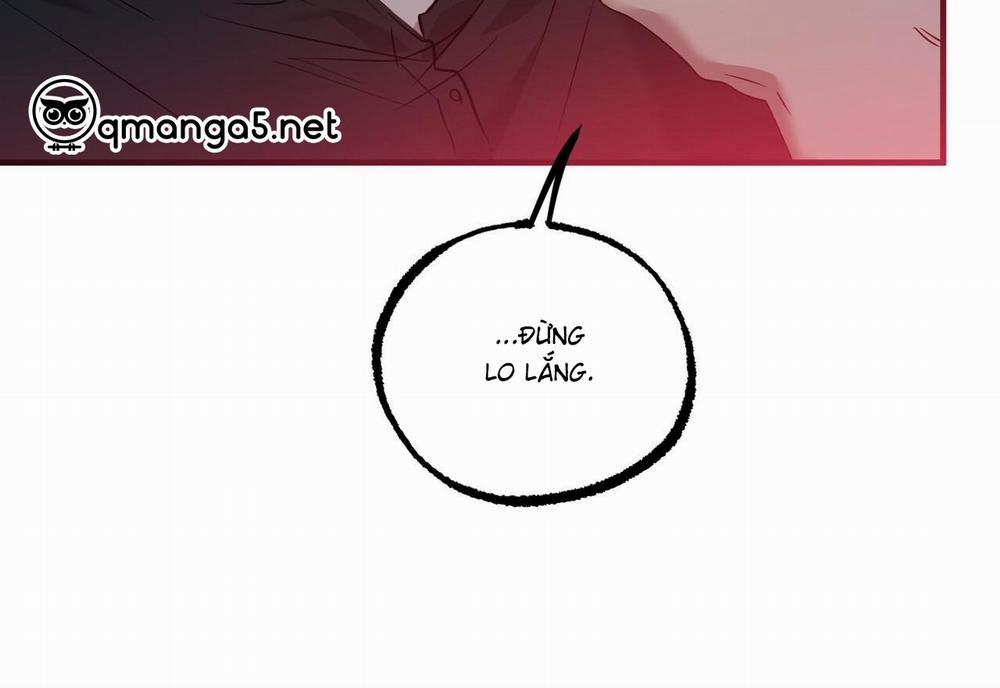 Những Chú Thỏ Của Hapypy 59 trang 258