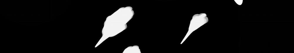 Những Chú Thỏ Của Hapypy 59 trang 292