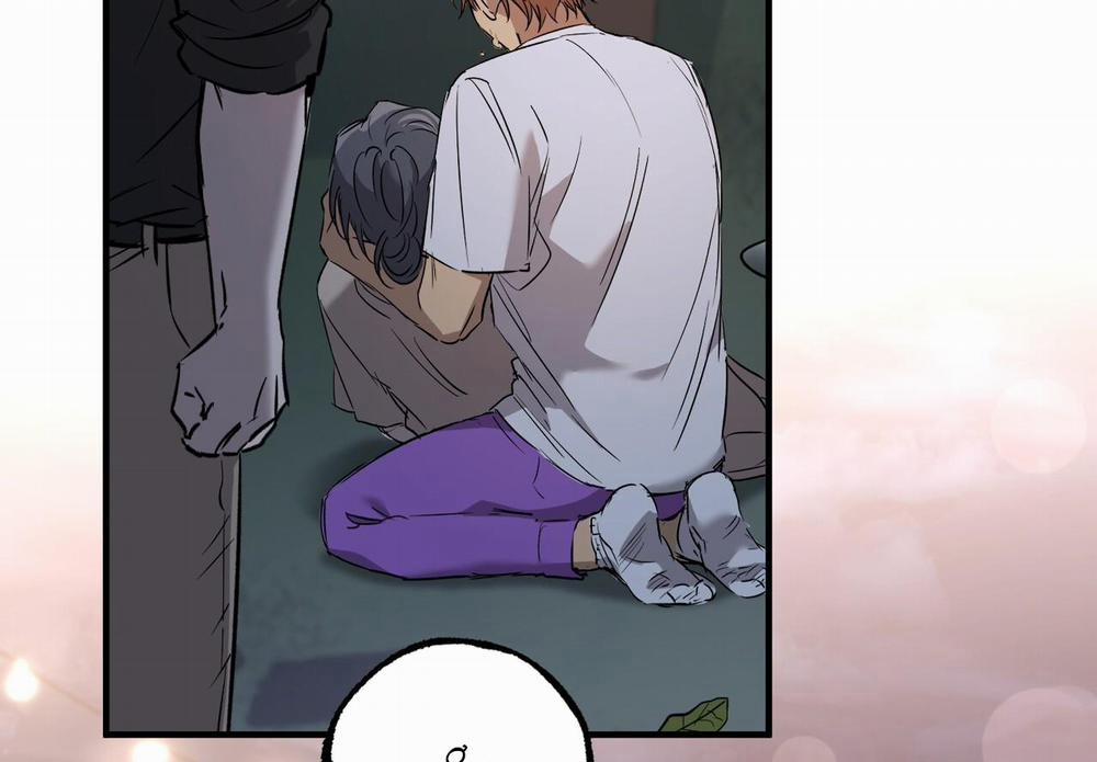 Những Chú Thỏ Của Hapypy 59 trang 3