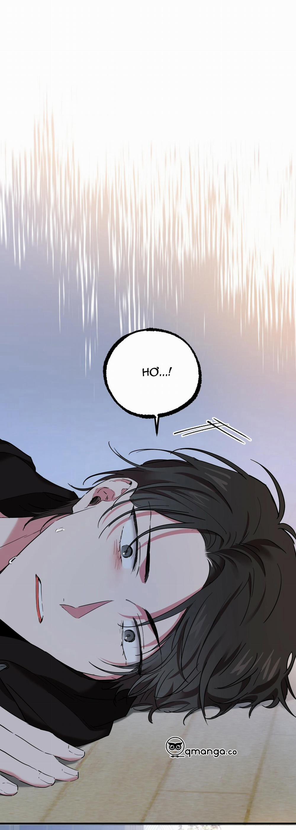 Những Chú Thỏ Của Hapypy 6 trang 13