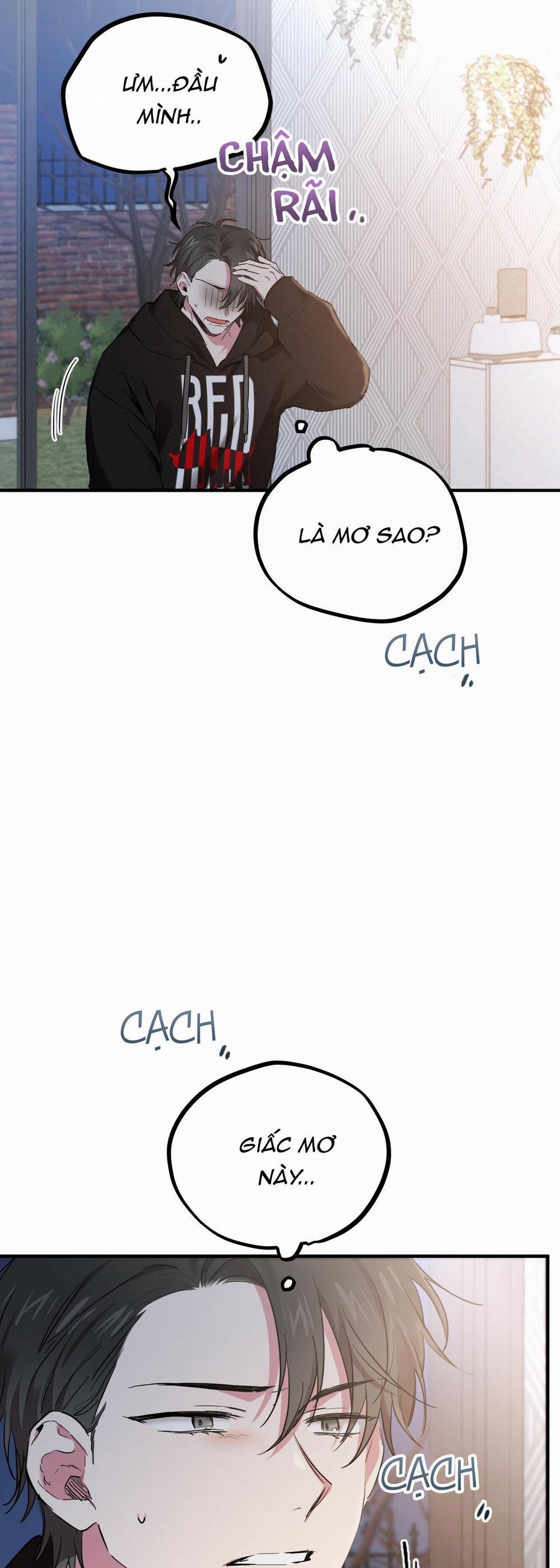 Những Chú Thỏ Của Hapypy 6 trang 14