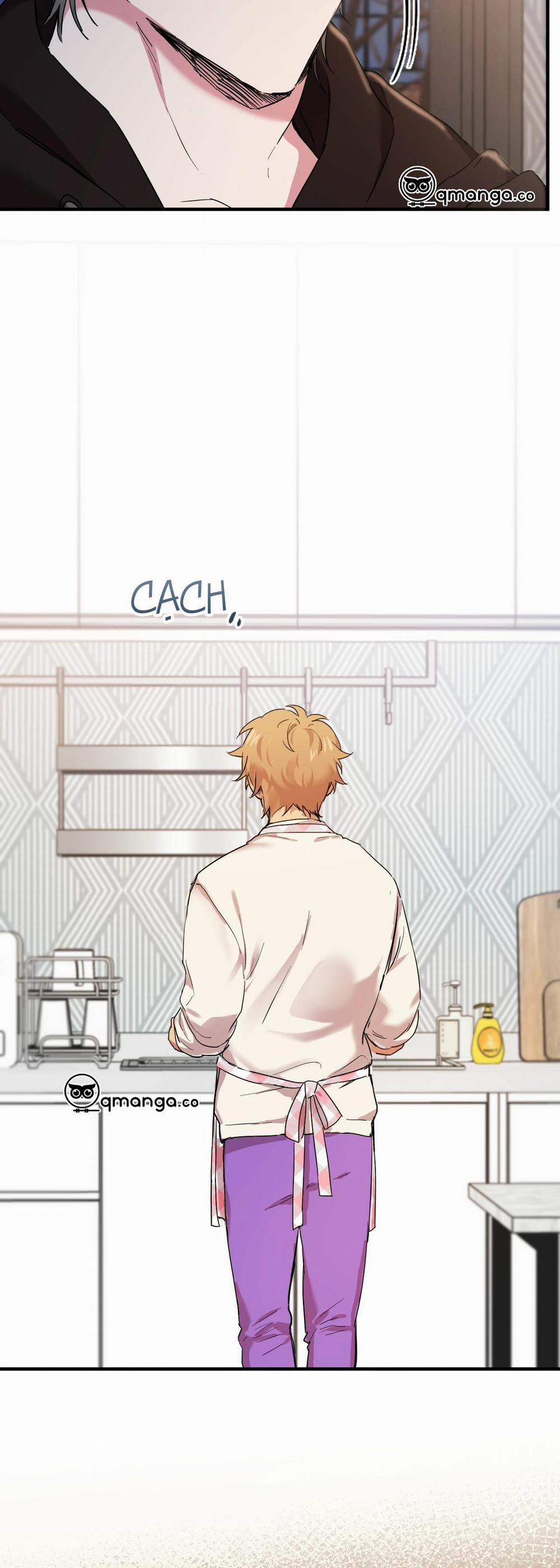 Những Chú Thỏ Của Hapypy 6 trang 15