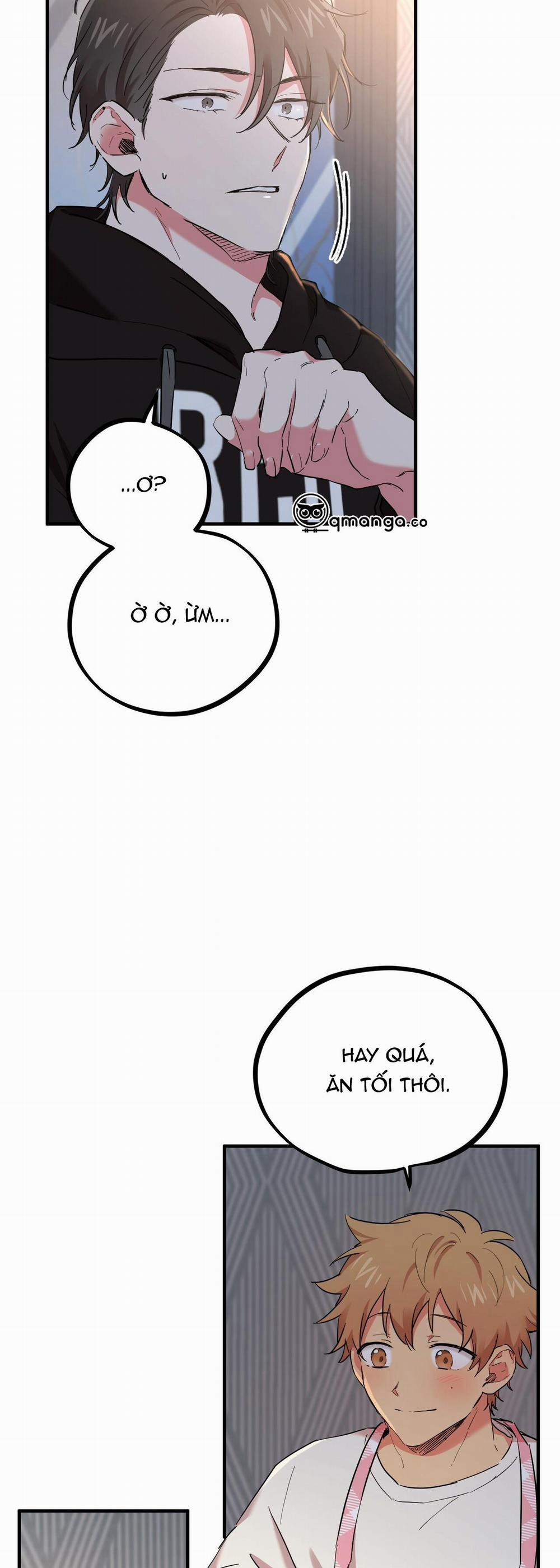 Những Chú Thỏ Của Hapypy 6 trang 18