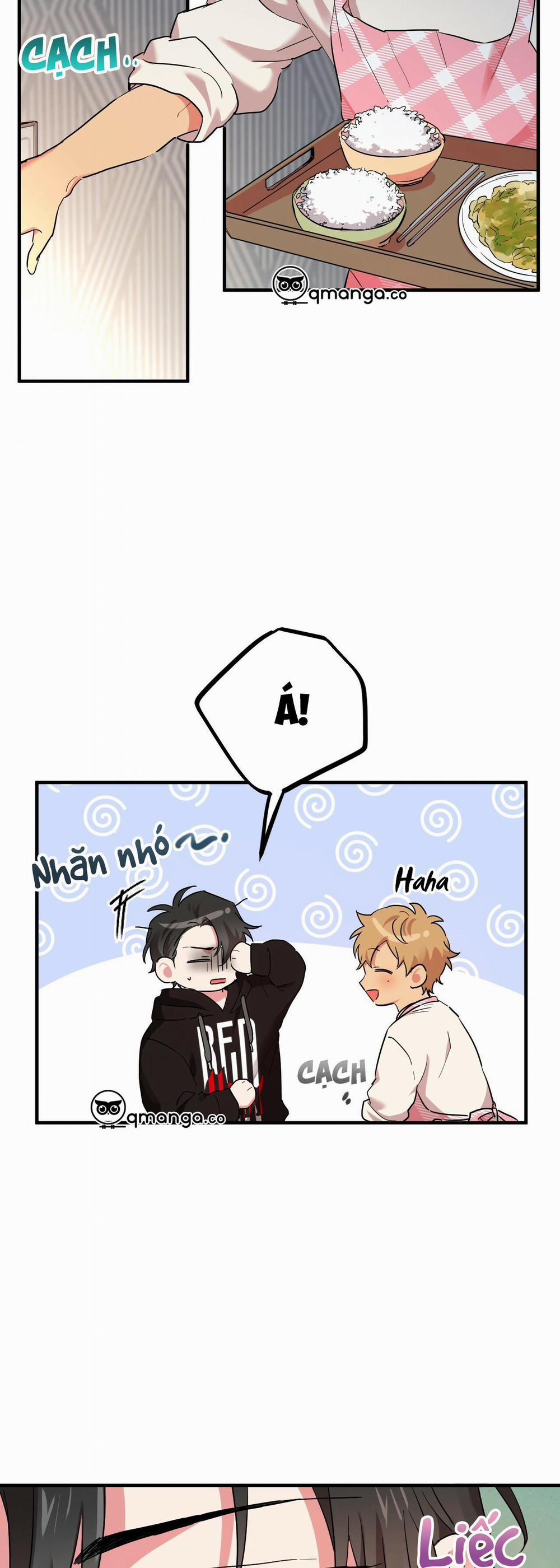 Những Chú Thỏ Của Hapypy 6 trang 19