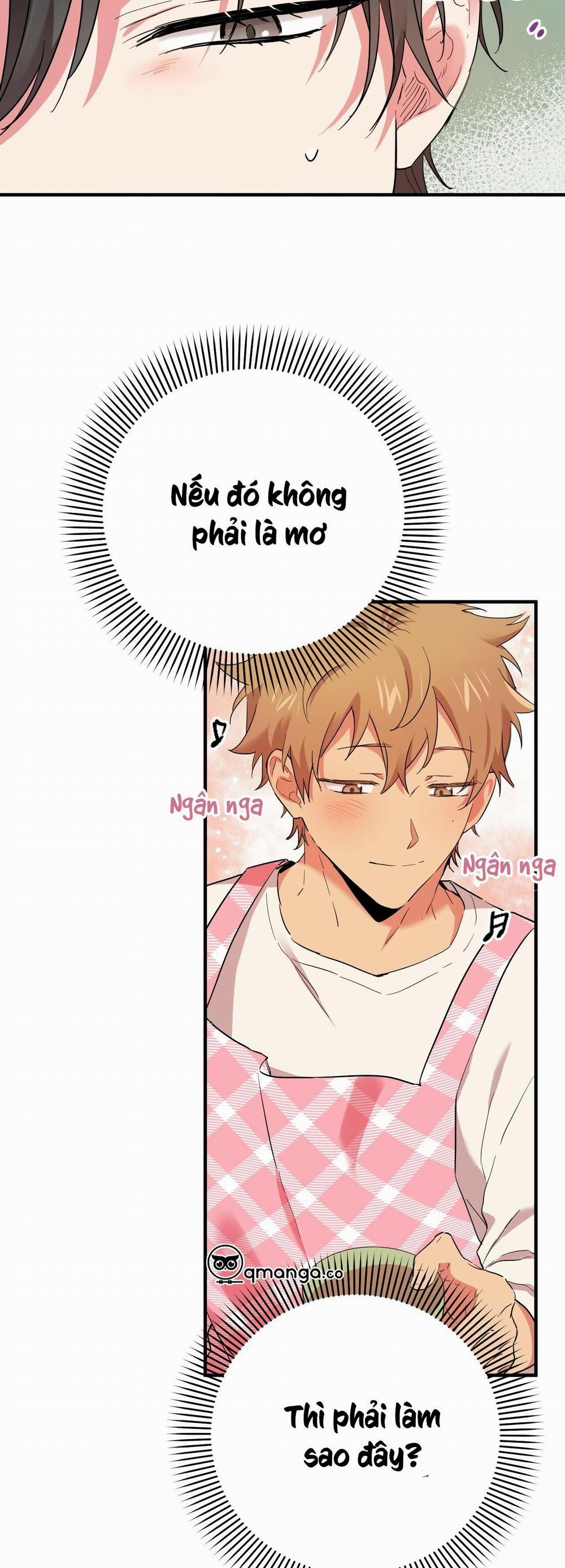 Những Chú Thỏ Của Hapypy 6 trang 20