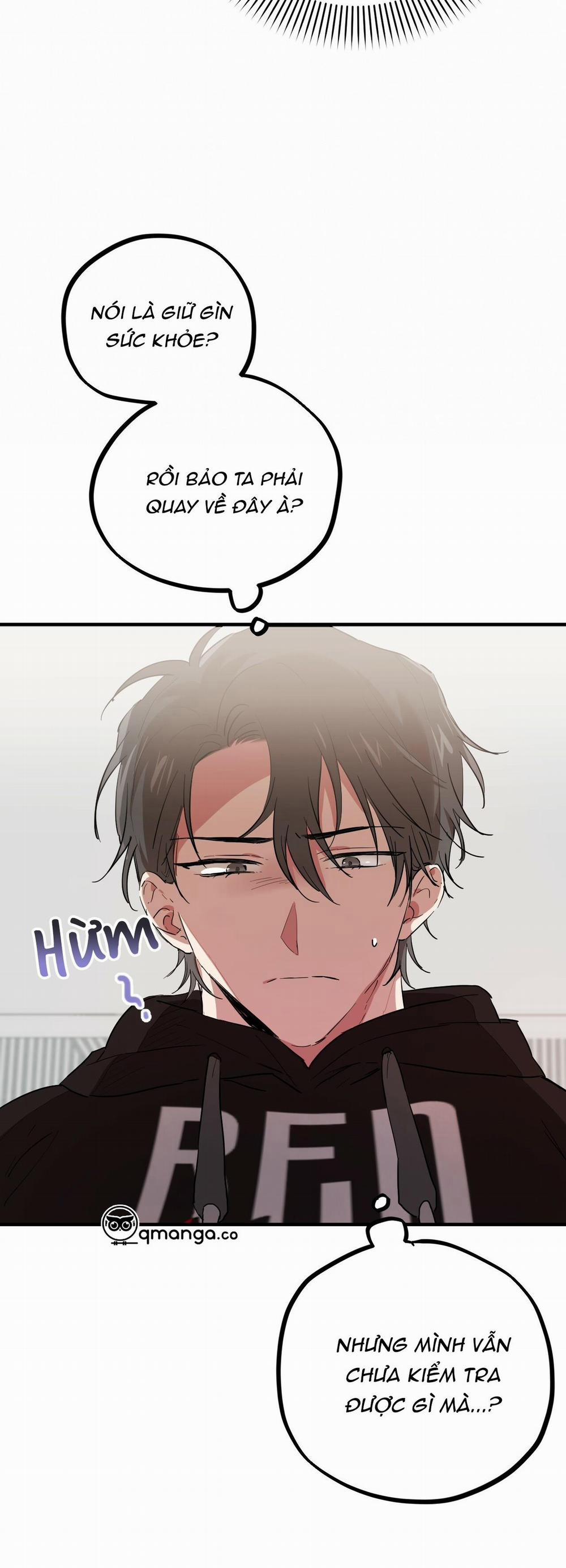 Những Chú Thỏ Của Hapypy 6 trang 21