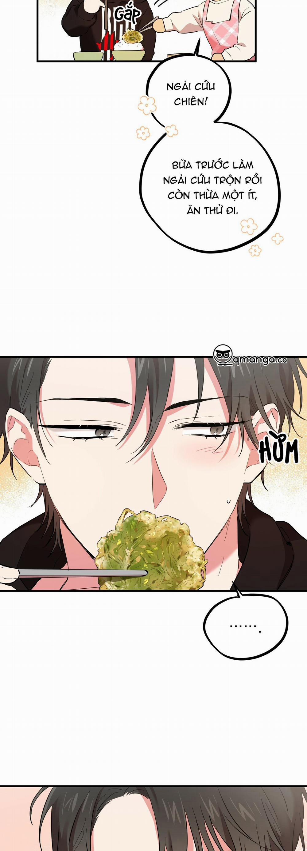 Những Chú Thỏ Của Hapypy 6 trang 23