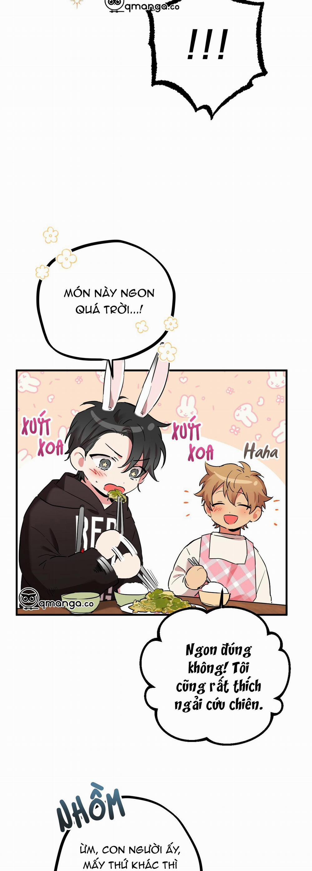 Những Chú Thỏ Của Hapypy 6 trang 25