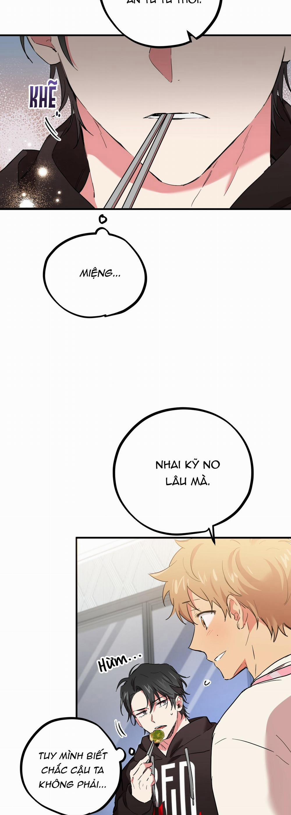 Những Chú Thỏ Của Hapypy 6 trang 27