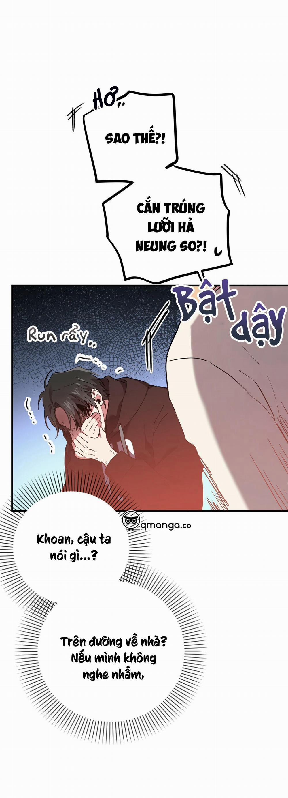 Những Chú Thỏ Của Hapypy 6 trang 31