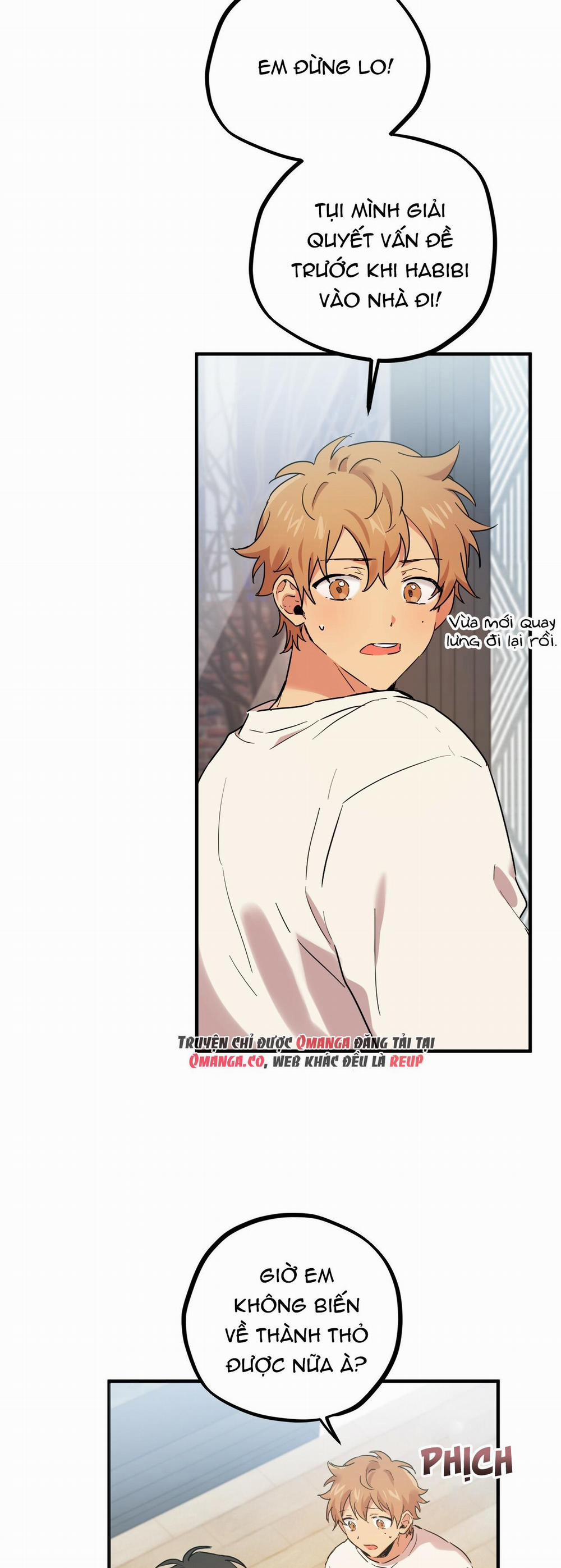 Những Chú Thỏ Của Hapypy 6 trang 55