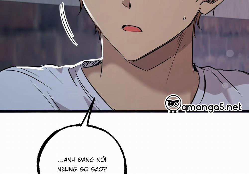 Những Chú Thỏ Của Hapypy 60 trang 126