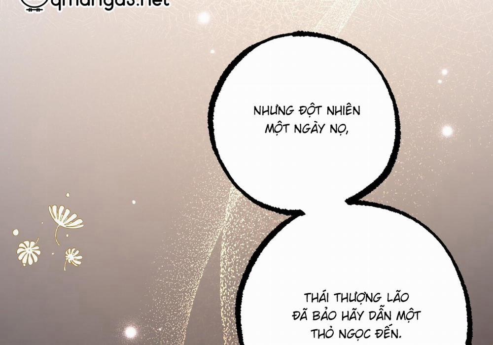 Những Chú Thỏ Của Hapypy 60 trang 138