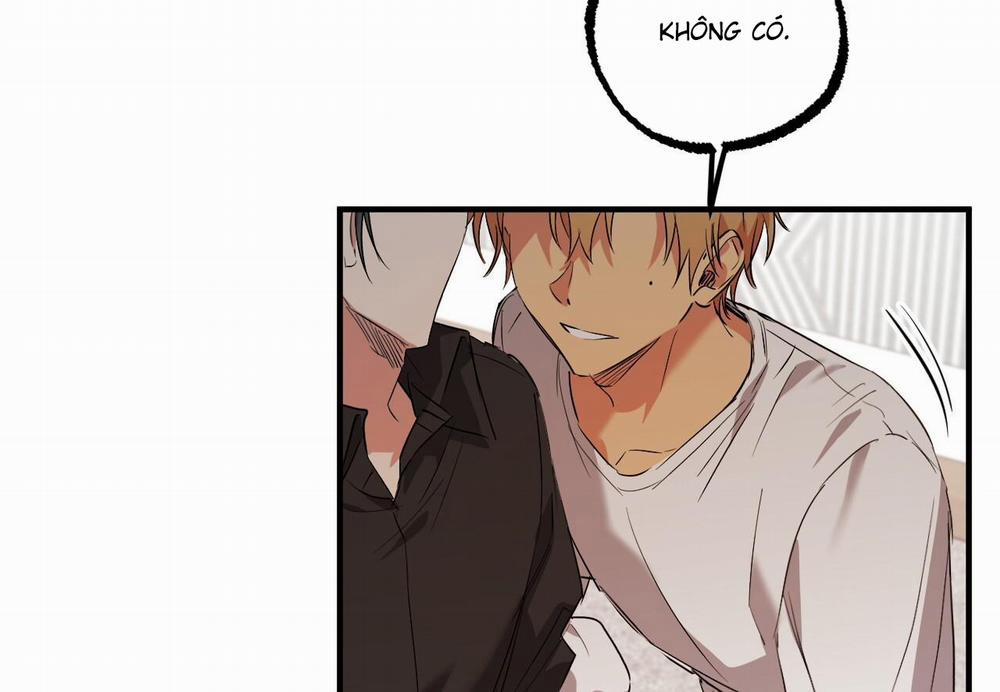 Những Chú Thỏ Của Hapypy 60 trang 236