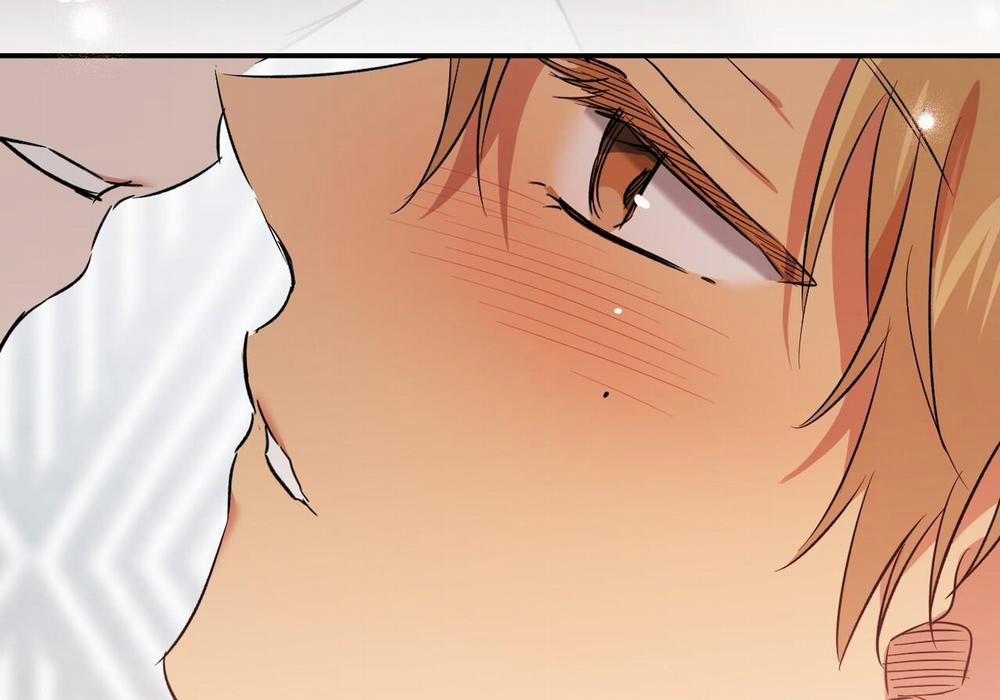 Những Chú Thỏ Của Hapypy 60 trang 248