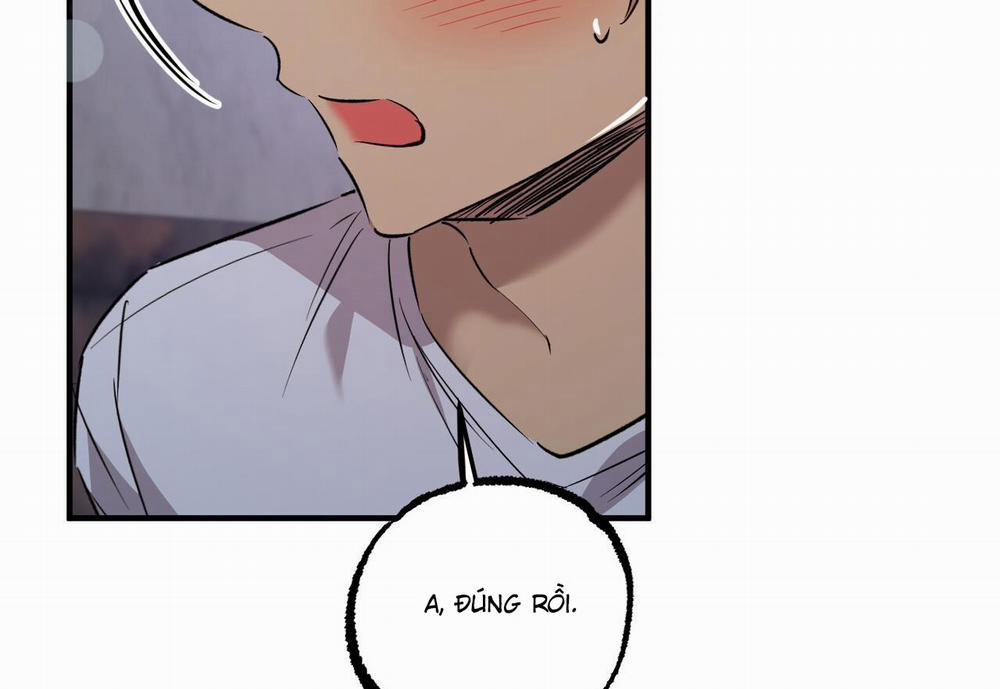 Những Chú Thỏ Của Hapypy 60 trang 99