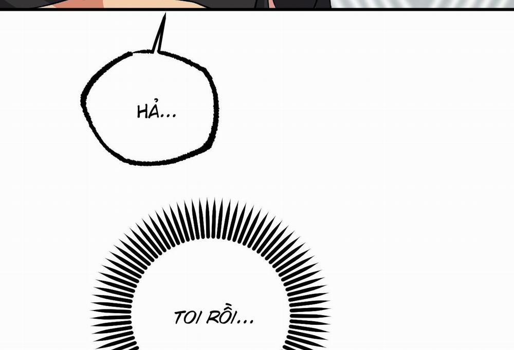 Những Chú Thỏ Của Hapypy 61 trang 10