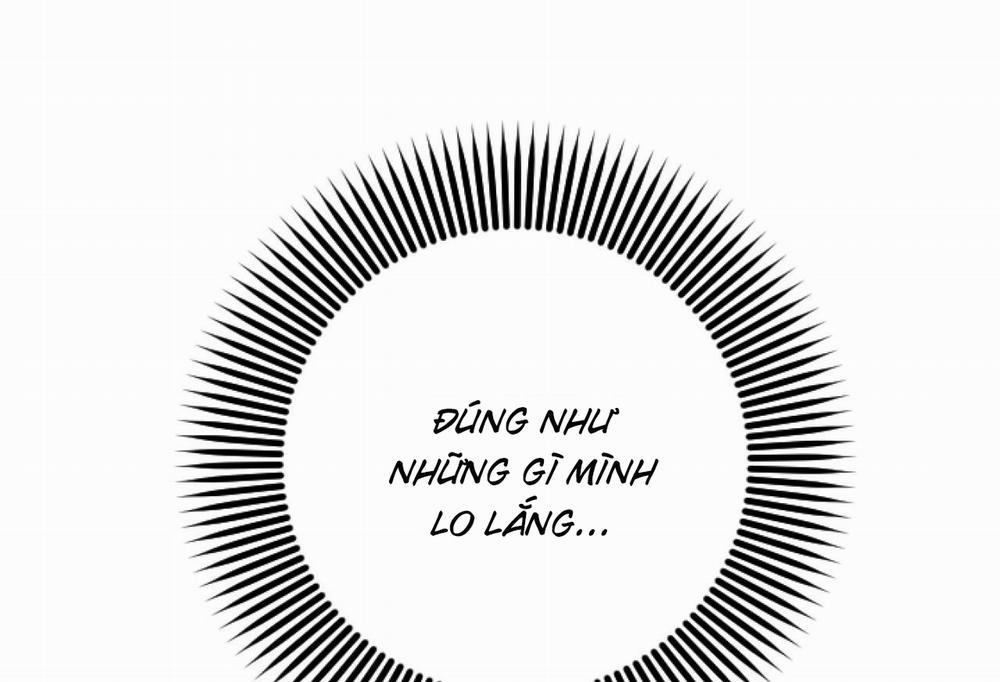 Những Chú Thỏ Của Hapypy 61 trang 12