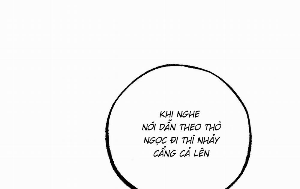 Những Chú Thỏ Của Hapypy 61 trang 172