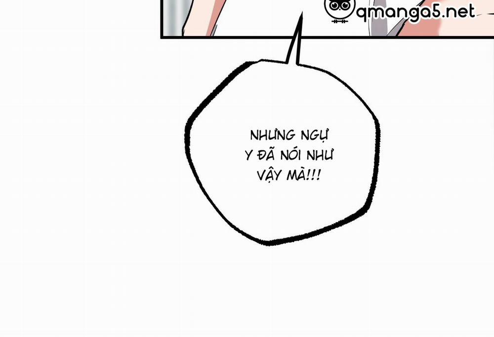 Những Chú Thỏ Của Hapypy 61 trang 19