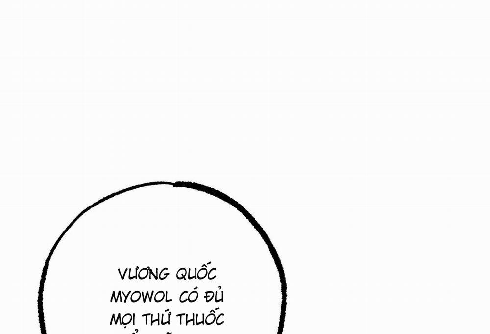 Những Chú Thỏ Của Hapypy 61 trang 20