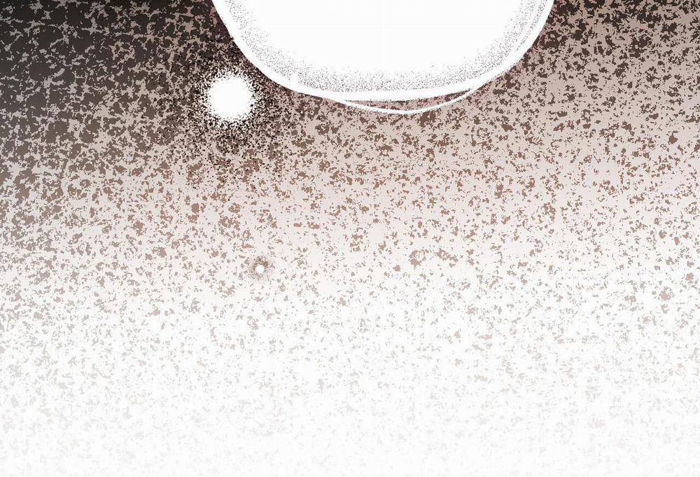 Những Chú Thỏ Của Hapypy 61 trang 211