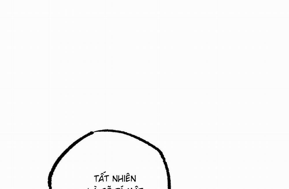 Những Chú Thỏ Của Hapypy 61 trang 24