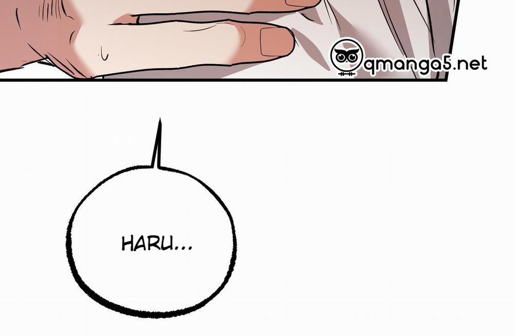 Những Chú Thỏ Của Hapypy 61 trang 37