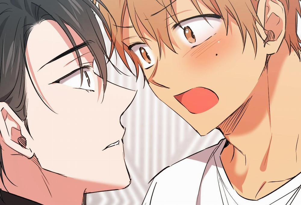 Những Chú Thỏ Của Hapypy 61 trang 4