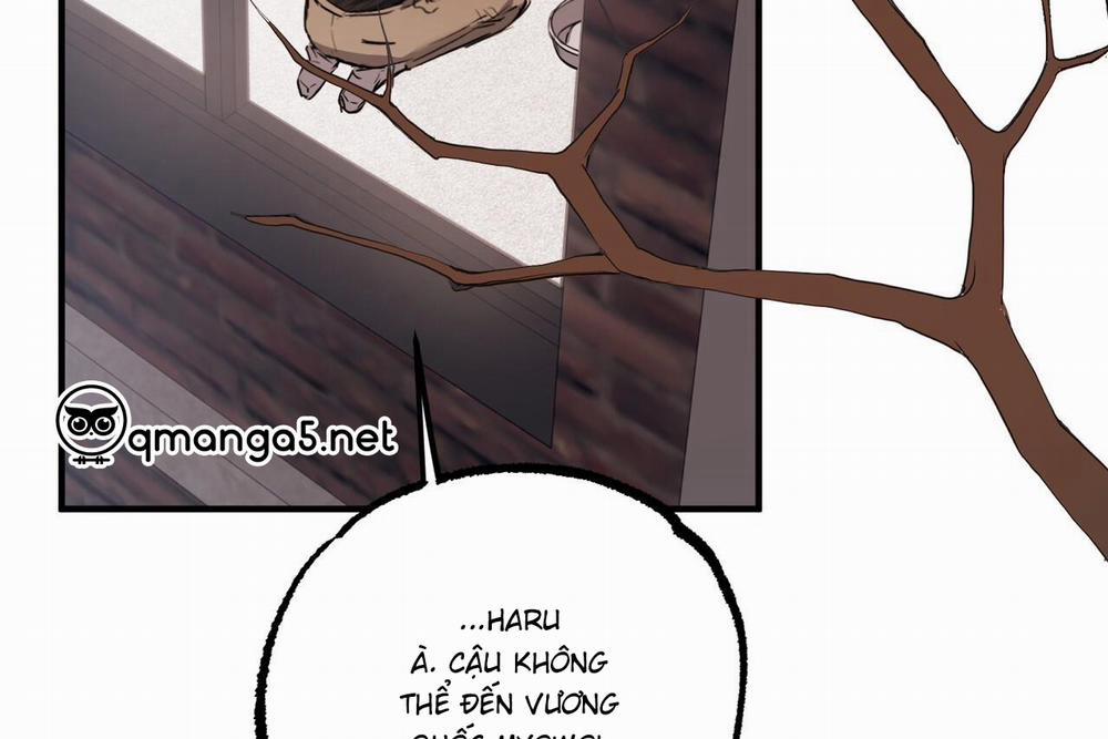 Những Chú Thỏ Của Hapypy 61 trang 51