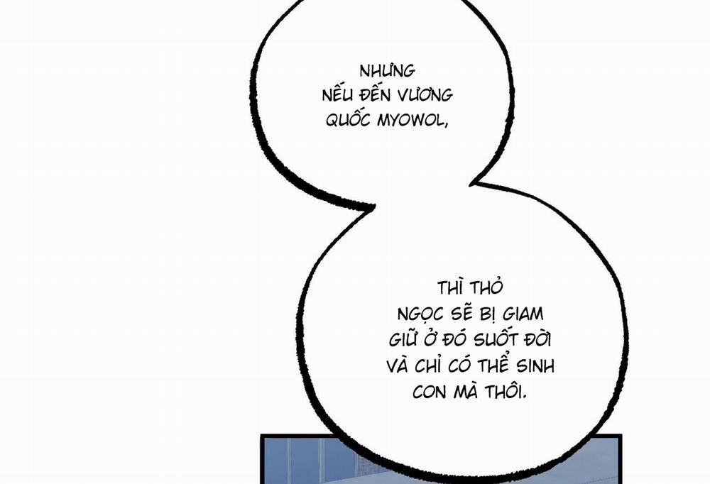 Những Chú Thỏ Của Hapypy 61 trang 77